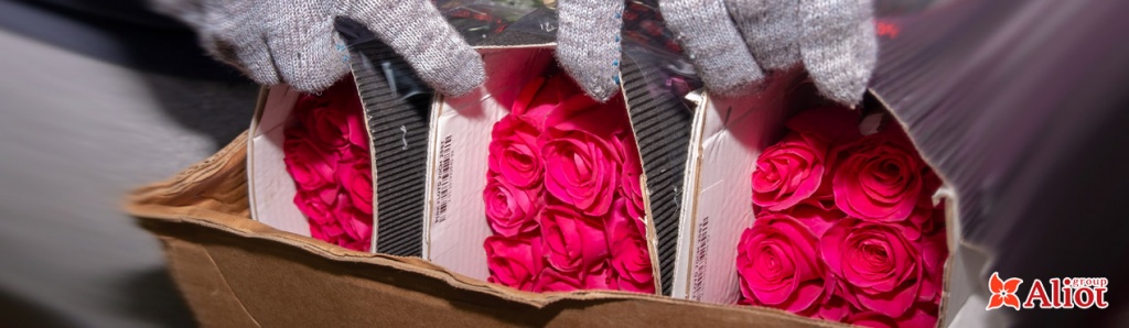 Упаковка Эквадоских роз на таможне